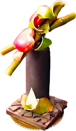 tronchetto