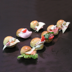 panini1