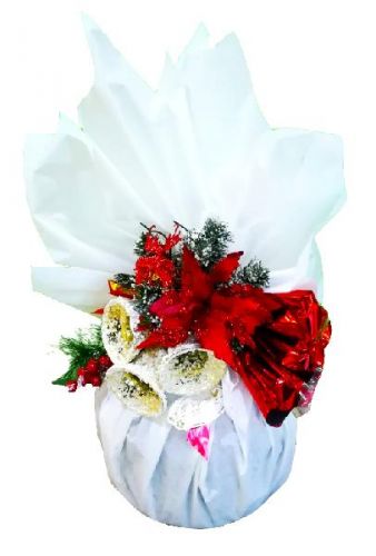panettone-sacco-bianco