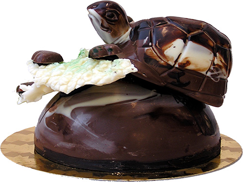 tartaruga-Galligani-pasticceria-Roma