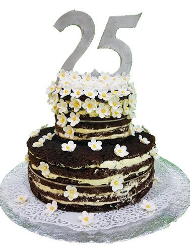 anniversario-25