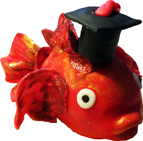 pesce-rosso2