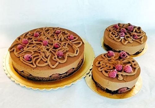 torta-bavarese-con-cioccolato-fondente-e-lamponi