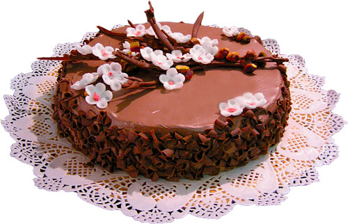 torta-cioccolato